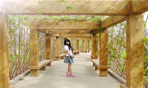 武侯我想花钱请人帮我生个孩子好吗,找人帮我生孩子